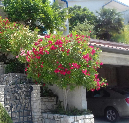 Others 4, Apartments Mare Losinjska 16, Labin