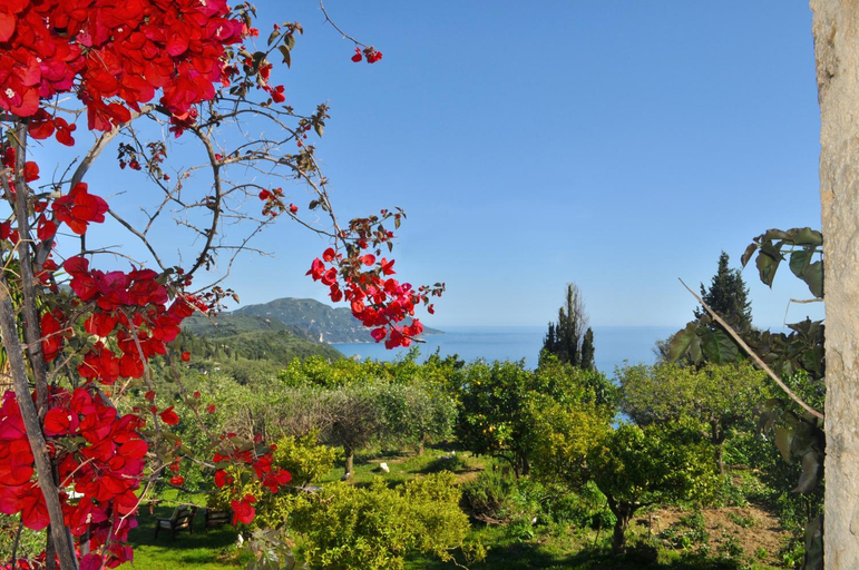 Others 5, House Lemoni - Studio, Ionian Islands