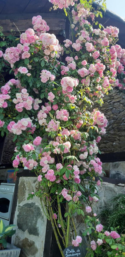 Others 3, Louradou-sur-Ciel, Tarn