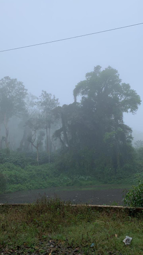 Exterior & Views 5, Dreams River view homestay coorg B, Kodagu