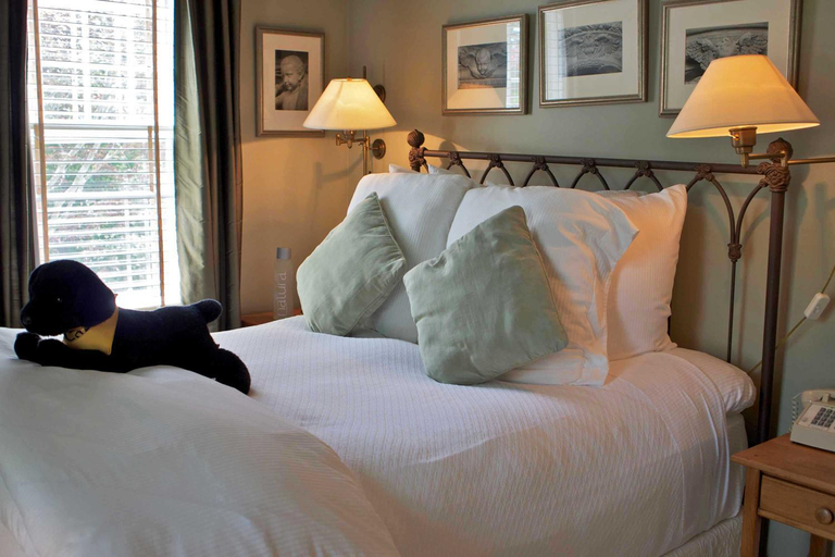 Bedroom 8