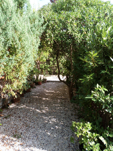 Others 5, Le Midi Versilia, Lucca