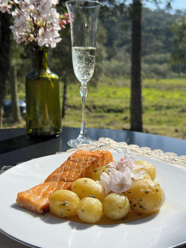 Food & Drinks 4, Pousada Maçã Araucária, São Joaquim