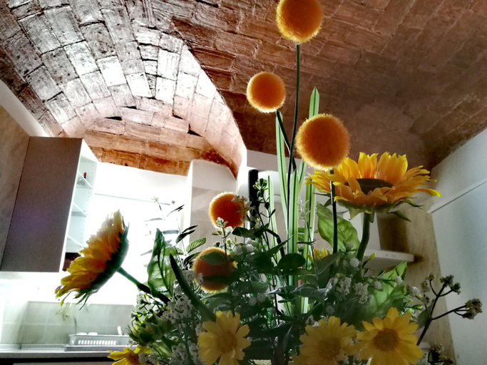 Others 5, Casa do Castelo, Arraiolos