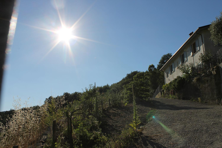 Collina di Sopra, Massa Carrara