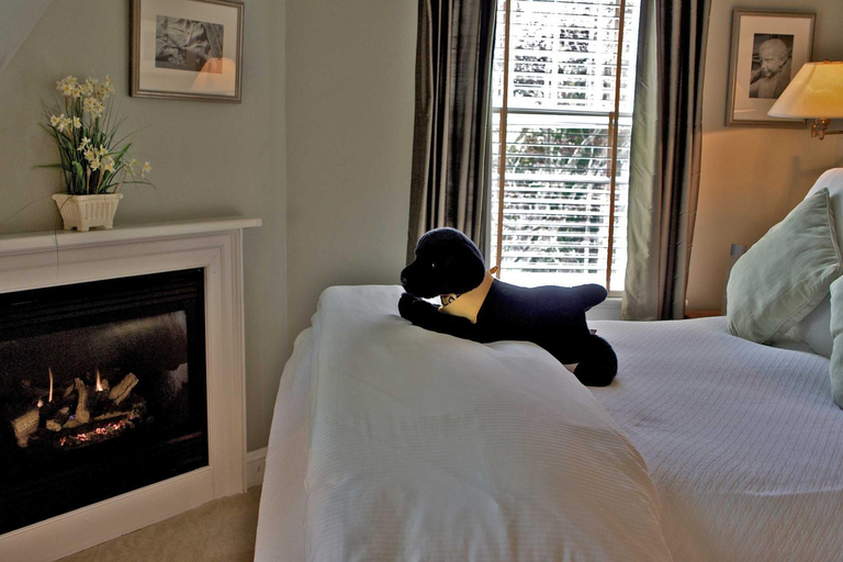 Bedroom 7