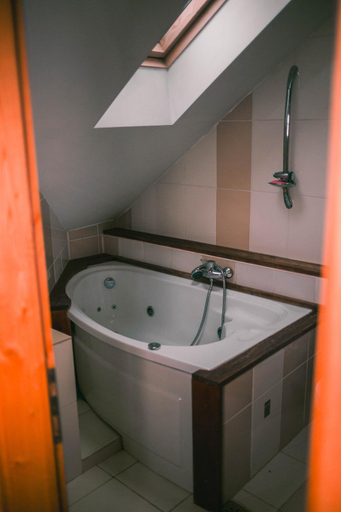 Bathroom 4, Hanul Vanatorului, Pestisani