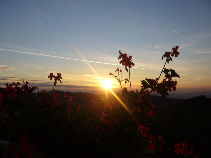 Scenery 8