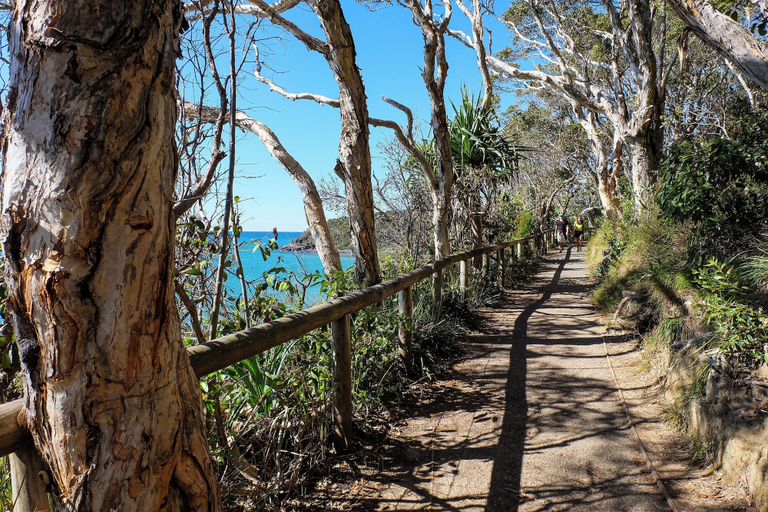 Others 5, Halse Lodge, Noosa - Noosa-Noosaville