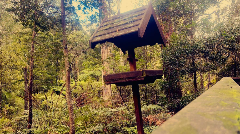 Others 2, Woodlands rainforest retreat, Murrindindi - East