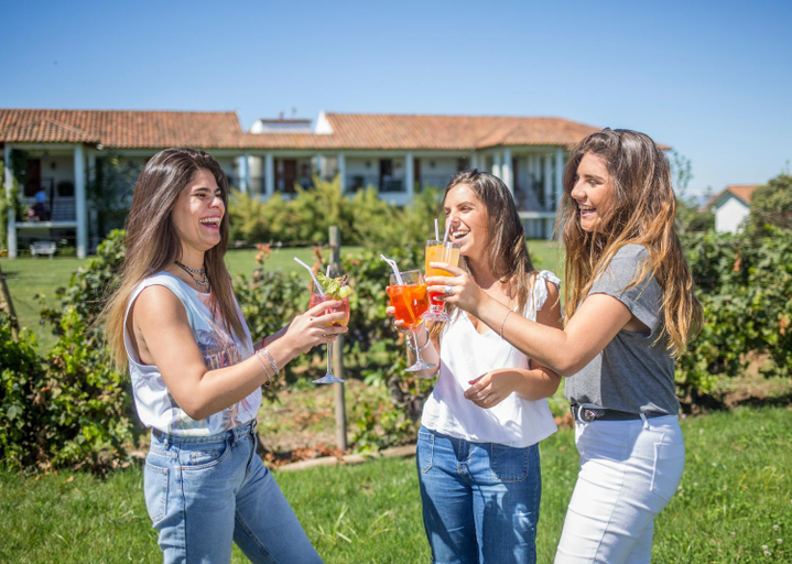 Food & Drinks 5, Hotel Terravina, Colchagua
