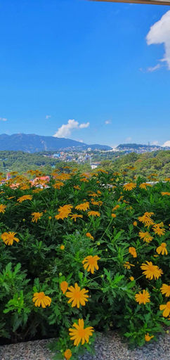 Scenery 2