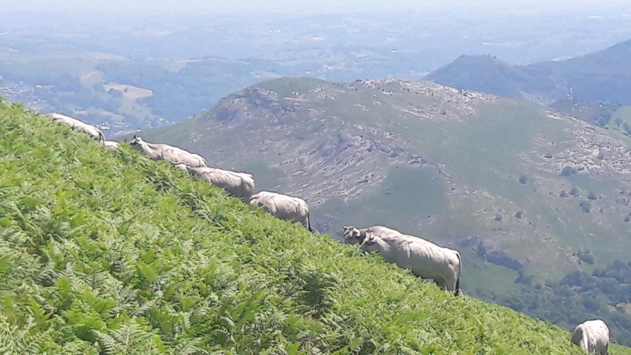 Others 3, Ferme Laurens, Hautes-Pyrénées
