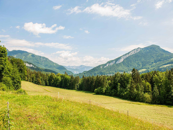 Others 3, Attractive Apartment in Bad Goisern with Terrace, Gmunden