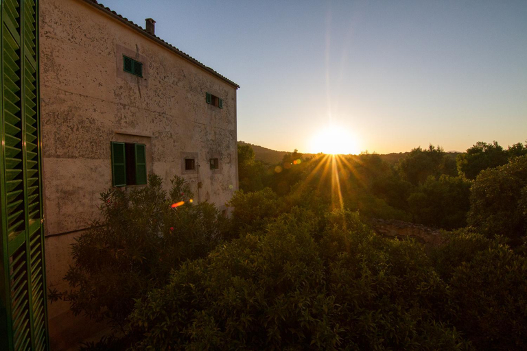Others 5, Agroturismo Son Sant Andreu, Baleares
