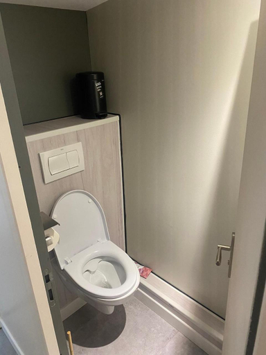 Bathroom 2, Les Cygnes au bord du loing, Seine-et-Marne