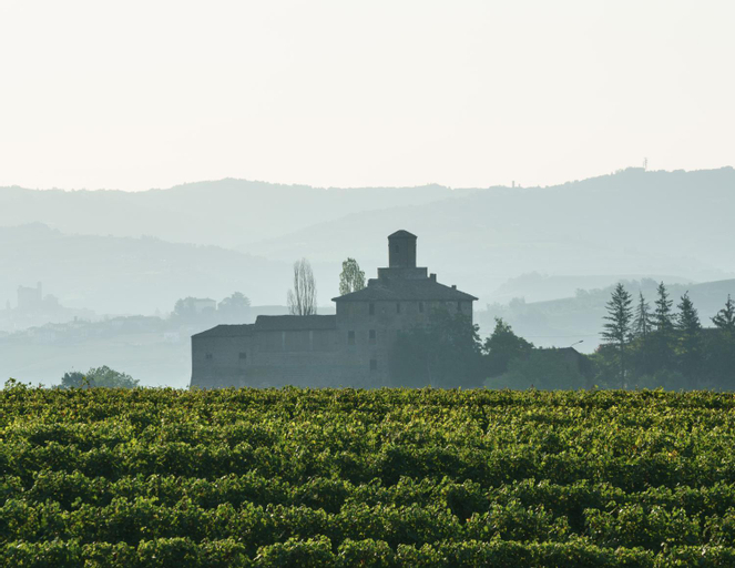 VINEHO, Cuneo