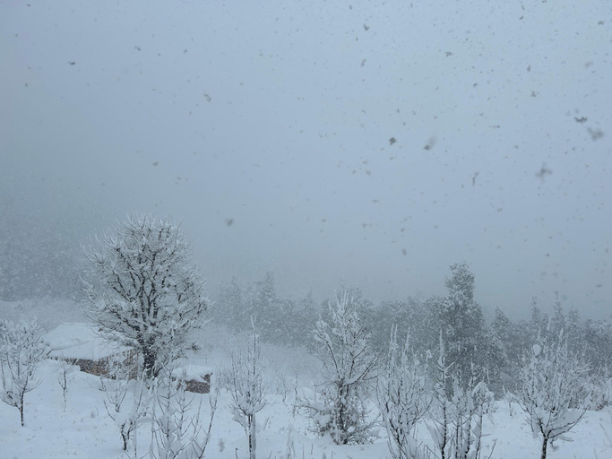2, Woodstock Villa, Kullu