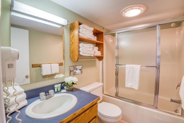 Bathroom 3, Purity Spring Resort, Carroll