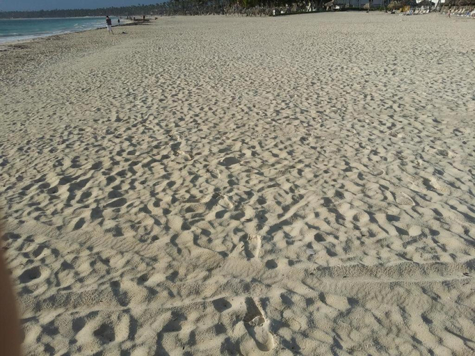 Others 5, Room with fan use Bavaro Punta Cana, Salvaleon de Higuey