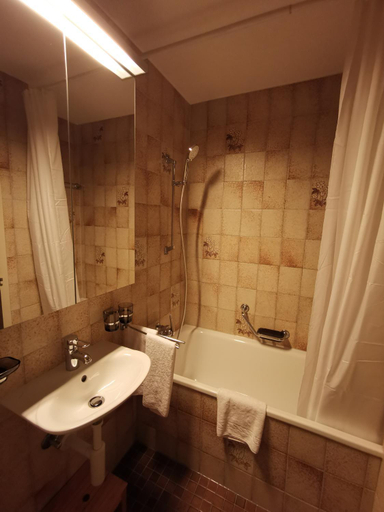 Bathroom 4, Hotel Brienzersee, Interlaken