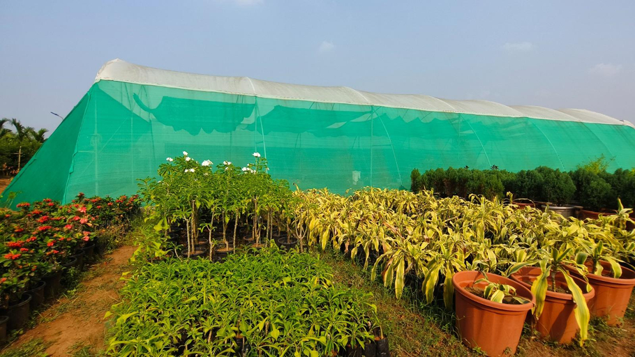 Others 3, NH16 Farmstay, Nayagarh