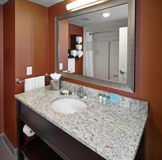 Bathroom 3, Hampton Inn by Hilton Calgary Airport North, Division No. 6