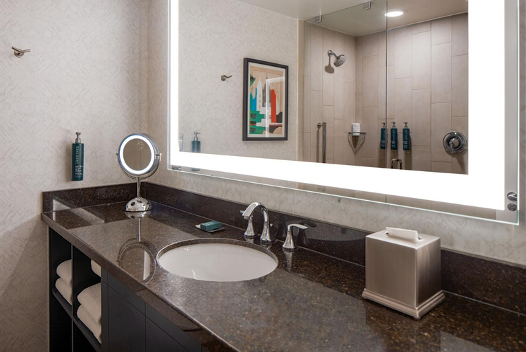 Bathroom 4, DoubleTree Suites by Hilton Salt Lake City Downtown, Salt Lake