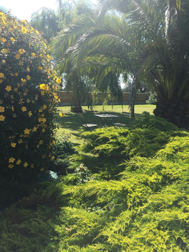 Others 4, Cote jardin des Charmilles, Manche