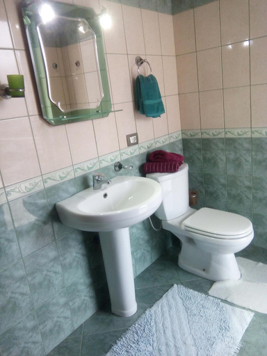 Bathroom 3, Eagle house, Përmetit