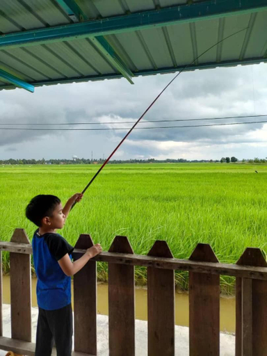 Others 4, Izz Homestay Sawah Padi Sungai Besar !, Sabak Bernam