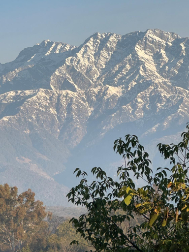 Others 5, Terra Cottage, Kangra