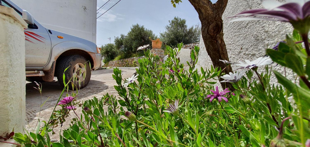 5, Ailamakis Apartements, Crete