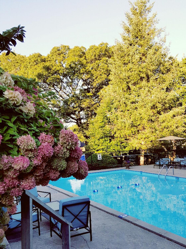 Others 3, Starlight Lodge Cape Cod, Barnstable