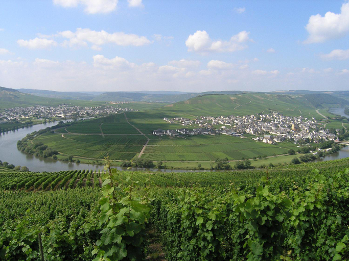 Others 3, Gastehaus Mack - Mosel Rooms & Restaurant, Trier-Saarburg