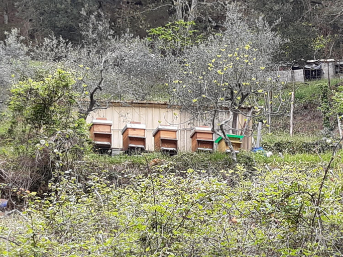 La valle fiorita, La Spezia