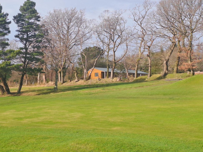 Others 4, Celtic Minor Stables, Powys
