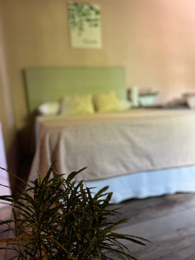 Bedroom 2, LA SELVA MONOAMBIENTES, Iguazú