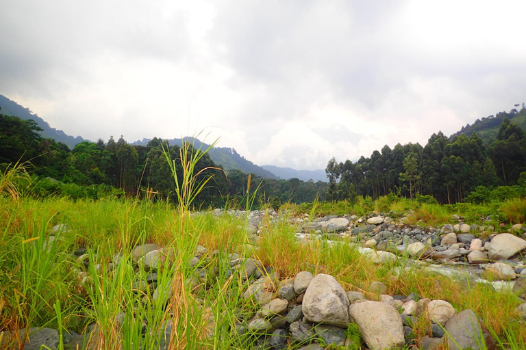 Others 5, Summit Guesthouse, Busongora
