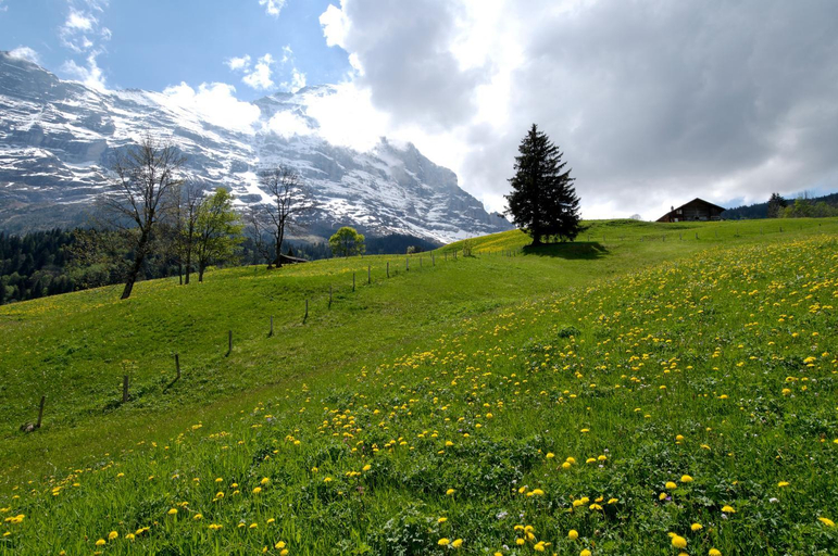 Scenery 11