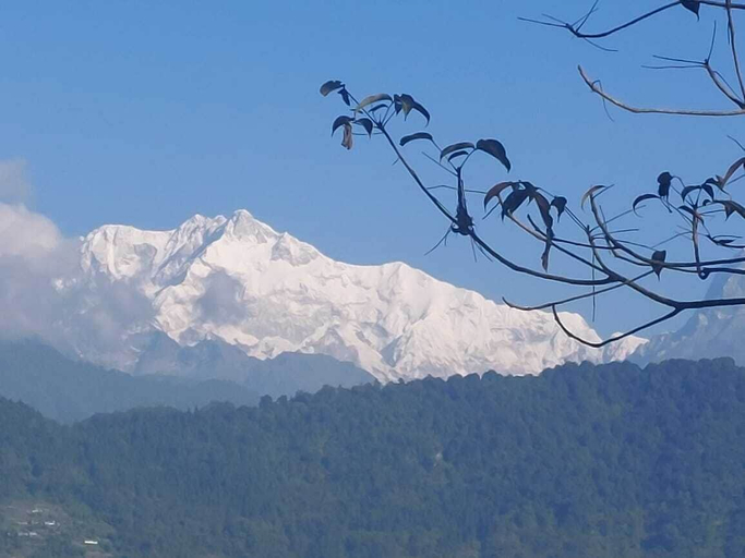 Others 5, RedPanda Jungle Camp, West Sikkim