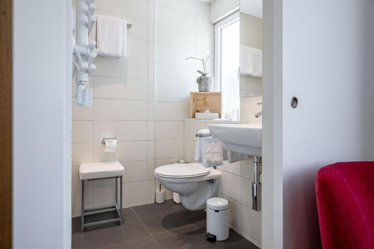 Bathroom 2, Hotel Zur Traube, Brig