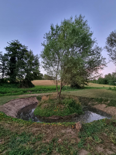 Others 3, LE DOMAINE DU SENS, Saône-et-Loire