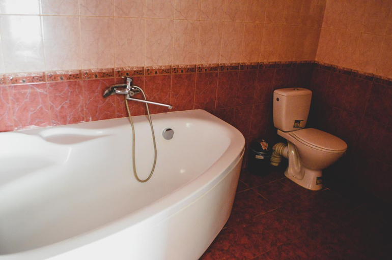 Bathroom, Lisova Perlina, Horodots'kyi