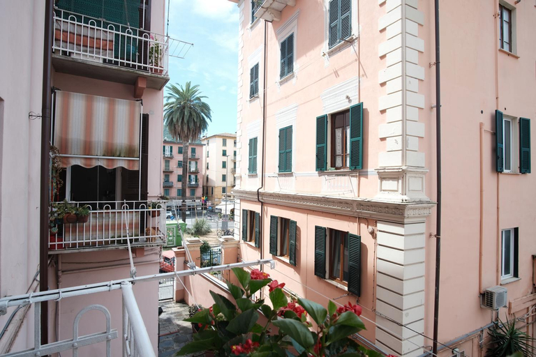 Scenery 19