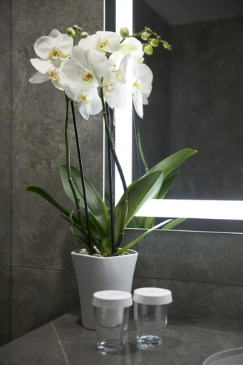 Bathroom 4