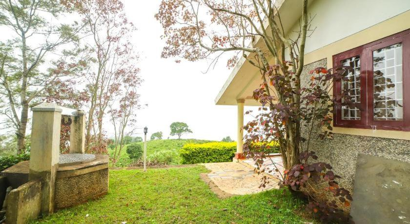 Others 3, The Orange Home, The Nilgiris