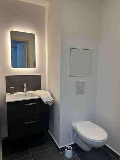 Bathroom 2, residence le prorel, Hautes-Alpes