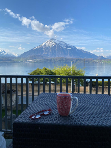 Exterior & Views 2, Villa Pochon, Thun