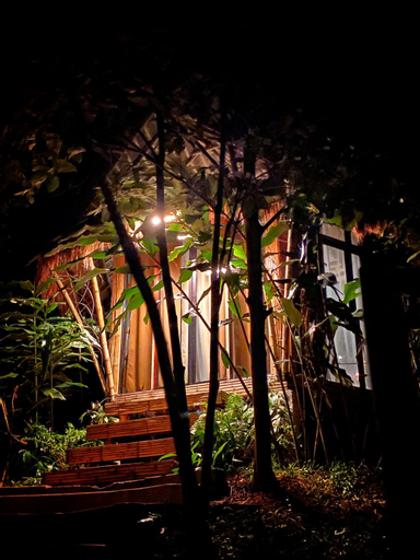 Scenery 19